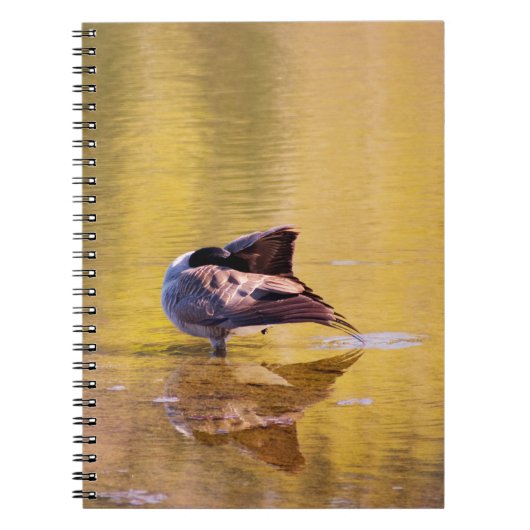 Golden Goose Notitieboek (Voorkant)