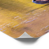 Golden Goose Poster (Hoek)