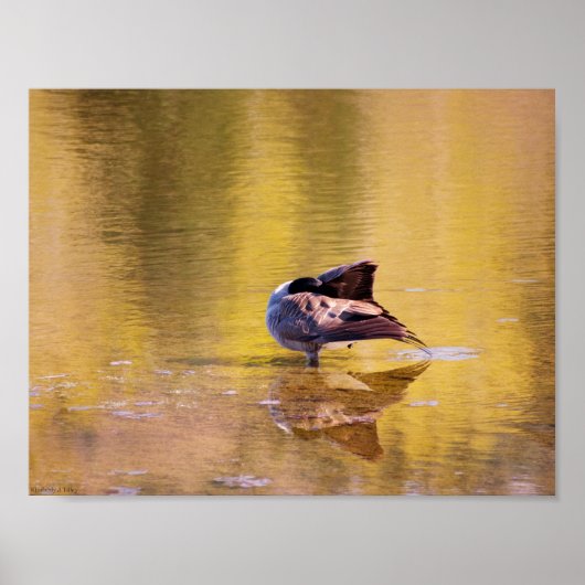 Golden Goose Poster (Voorkant)