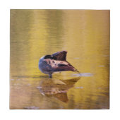 Golden Goose Tegeltje (Voorkant)