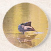 Golden Goose Zandsteen Onderzetter (Voorkant)