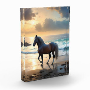 Golden Grace: een Palomino paard op de Sunset Shor Fotoblokken