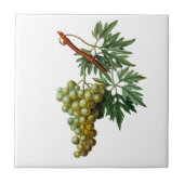 Golden Grapes Redoute Ceramic Tile Tegeltje (Voorkant)