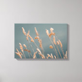 Golden Grass Seed Heads op het turquoise blauwe me Canvas Afdruk (Voorkant)