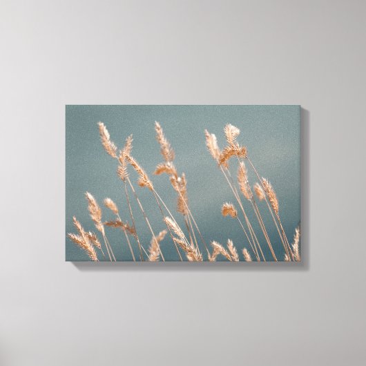 Golden Grass Seed Heads op het turquoise blauwe me Canvas Afdruk (Voorkant)