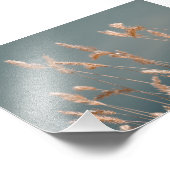 Golden Grass Seed Heads op het turquoise blauwe me Foto Afdruk (Hoek)