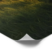 Golden Grove Sunrise – Tranquil Sunlit Forest Stre Poster (Hoek)