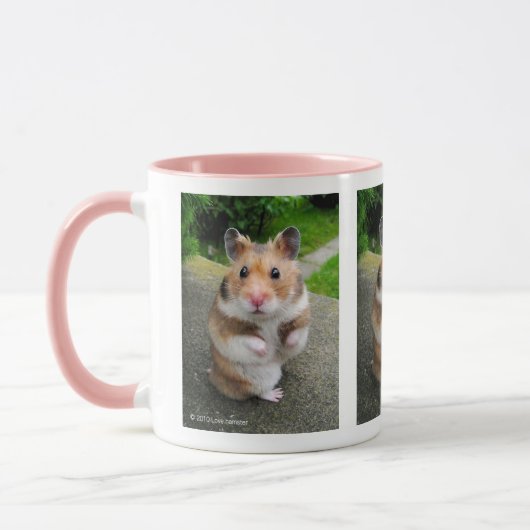 Golden hamster mok (Links)
