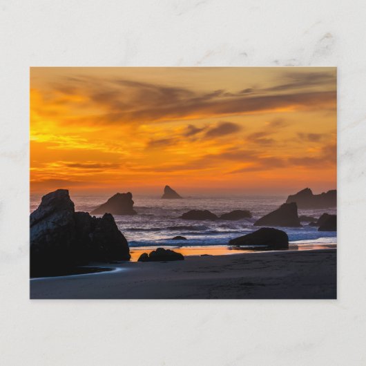 Golden Harris Beach Sunset - Oregon Briefkaart (Voorkant)