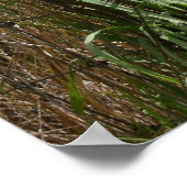 Golden Harvest Poster (Hoek)