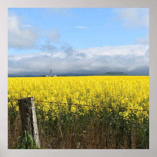 Golden Harvest Poster (Voorkant)