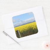 Golden Harvest Square Sticker (Envelop)