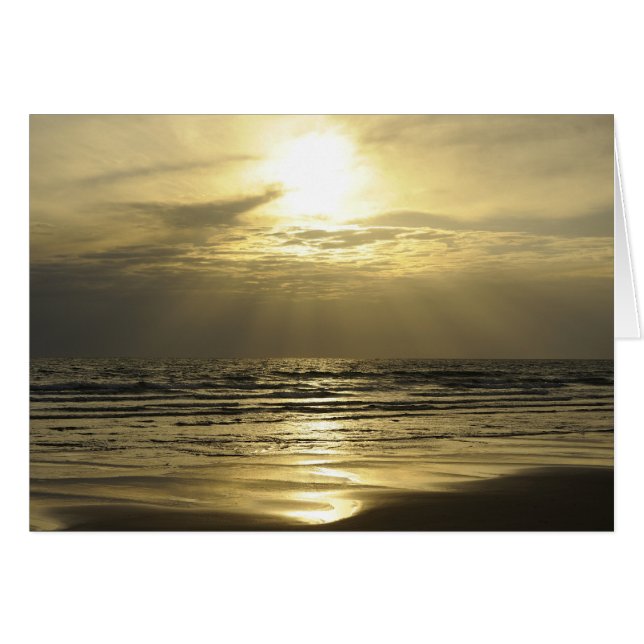 Golden Haze (Voorkant Horizontaal)