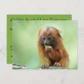 Golden Head Youngster Briefkaart (Voorkant / Achterkant)