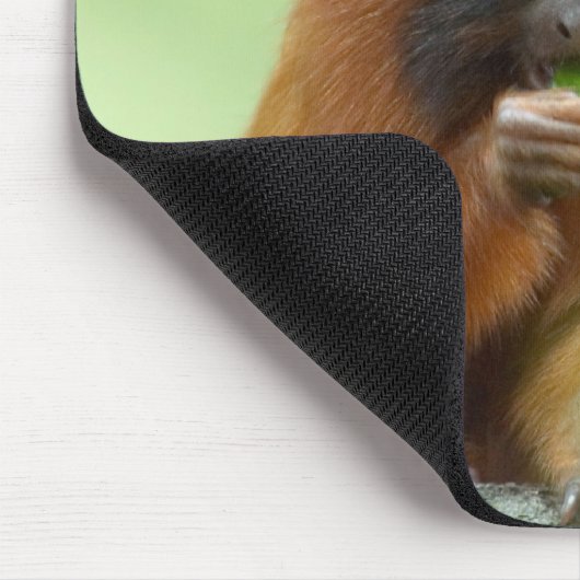 Golden Head Youngster Muismat (Hoek)