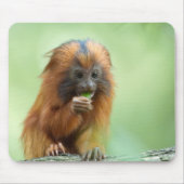 Golden Head Youngster Muismat (Voorkant)