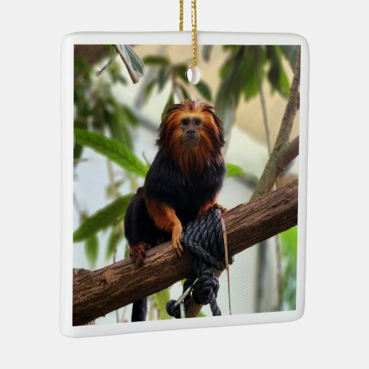 Golden Headed Lion Tamarin III Keramisch Ornament (Rechts)