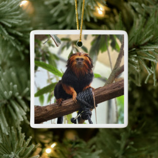Golden Headed Lion Tamarin III Keramisch Ornament