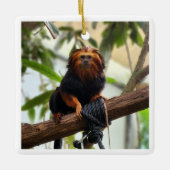 Golden Headed Lion Tamarin III Keramisch Ornament (Voorkant)