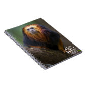 Golden Headed Lion Tamarins Notitieboek (Rechterzijde)