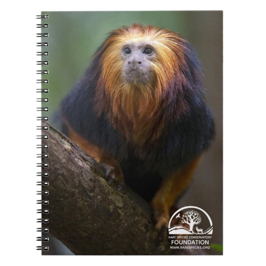Golden Headed Lion Tamarins Notitieboek (Voorkant)