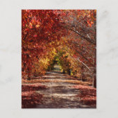 Golden Herfst Briefkaart (Voorkant)