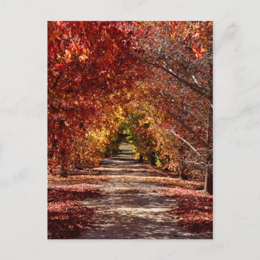 Golden Herfst Briefkaart (Voorkant)