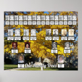 Golden Herfst Leaf Tree Foto 2 Family Trees Poster (Voorkant)