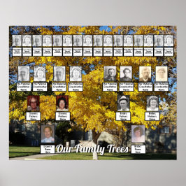 Golden Herfst Leaf Tree Foto 2 Family Trees Poster