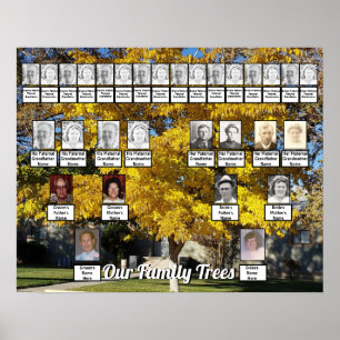 Golden Herfst Leaf Tree Foto 2 Family Trees Poster
