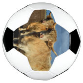 Golden Highlands: De genade van de Fawn-gekleurde  Voetbal (Gedraaid)