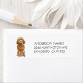 Golden Honey Cockapoo Dog Return Label (Insitu)