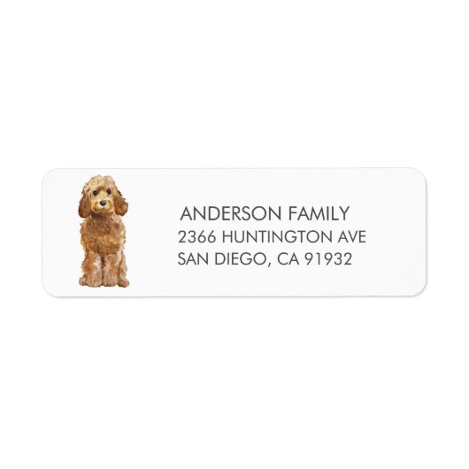 Golden Honey Cockapoo Dog Return Label (Voorkant)
