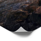 Golden Horizon Poster (Hoek)