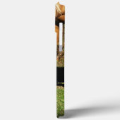 Golden Horse Closeup iPhone 13 Pro Max Hoesje (Achterkant / Links)