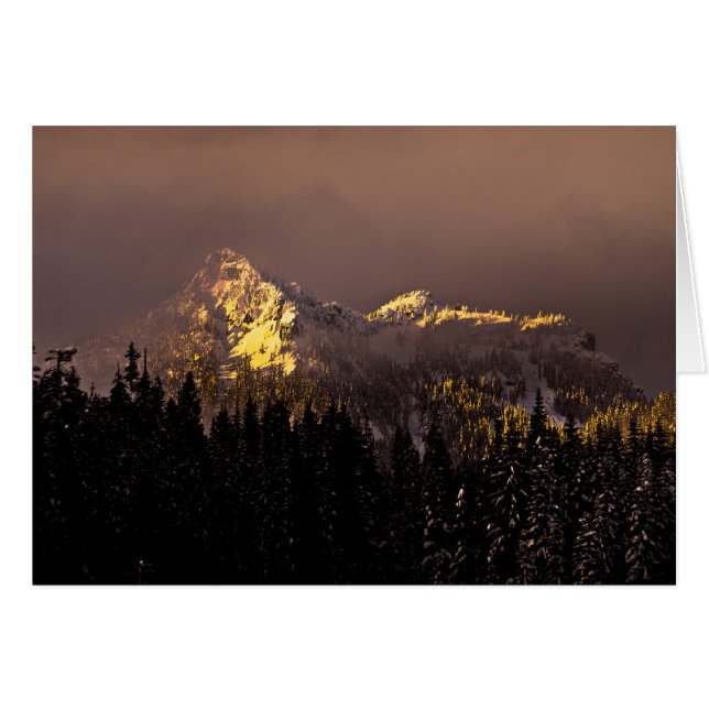 Golden Hour (Voorkant Horizontaal)