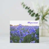 Golden Hour Bluebells - persoonlijk Briefkaart (Staand voorkant)