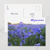 Golden Hour Bluebells - persoonlijk Briefkaart (Voorkant / Achterkant)