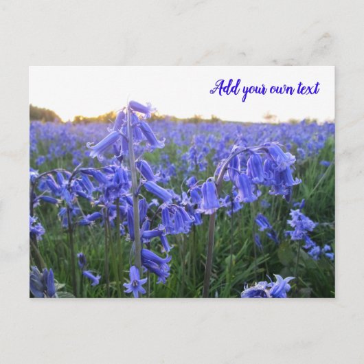 Golden Hour Bluebells - persoonlijk Briefkaart (Voorkant)