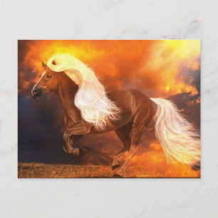 Golden Hour Briefkaart