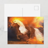 Golden Hour Briefkaart (Voorkant / Achterkant)