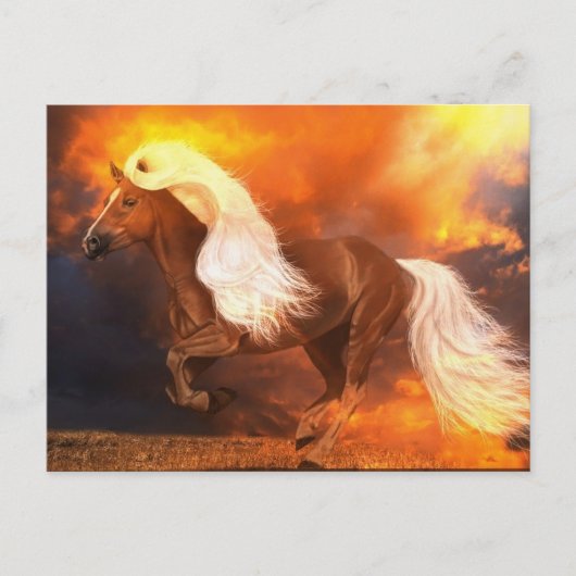 Golden Hour Briefkaart (Voorkant)