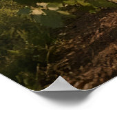 Golden Hour Harvest - Panoramische Toscaanse wijng Poster (Hoek)