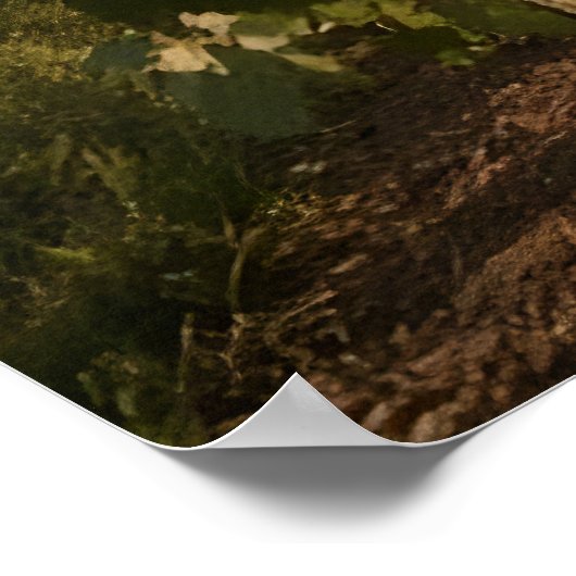 Golden Hour Harvest - Panoramische Toscaanse wijng Poster (Hoek)