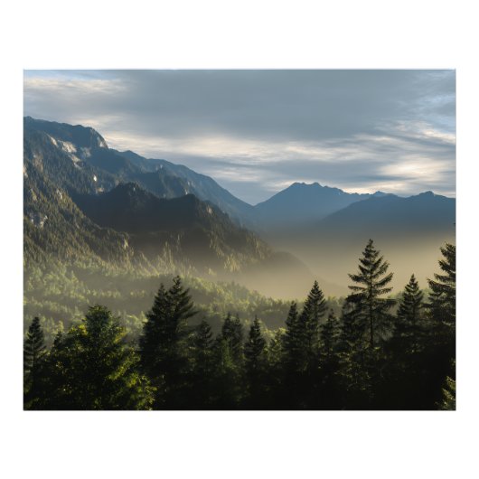 Golden Hour Misty Peaks Evergreen Forest Art Foto Afdruk (Voorkant)