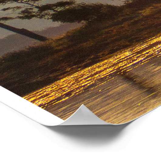 Golden Hour Reflections with Silhouetted Trees Poster (Hoek)