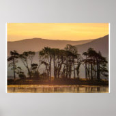 Golden Hour Reflections with Silhouetted Trees Poster (Voorkant)