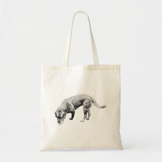 Golden Hour Seeker Tote Bag (Voorkant)
