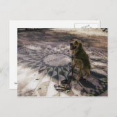 Golden in aardbeivelden, ook bekend als "Imagine"- Briefkaart (Voorkant / Achterkant)