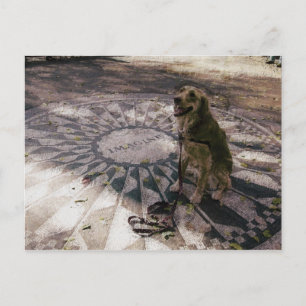 Golden in aardbeivelden, ook bekend als "Imagine"- Briefkaart